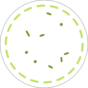 High-level disinfection