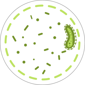 scarygerm-1