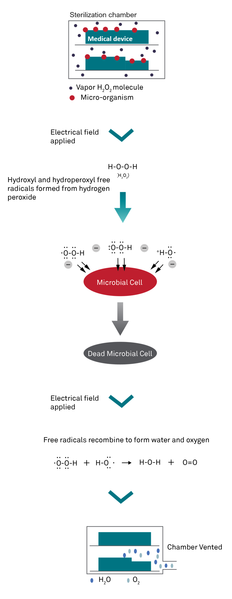 h202 gas plasma sterilization