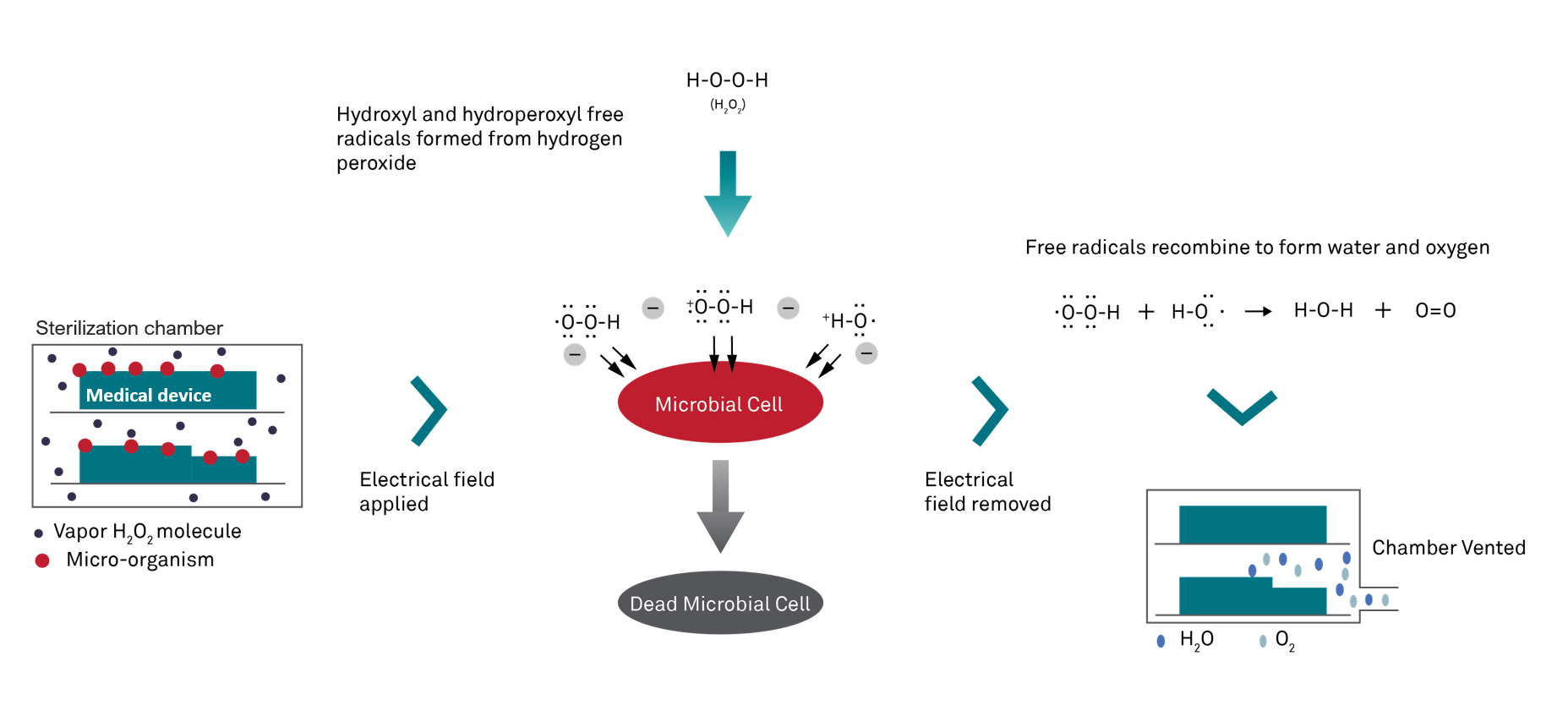 h202 gas plasma sterilization